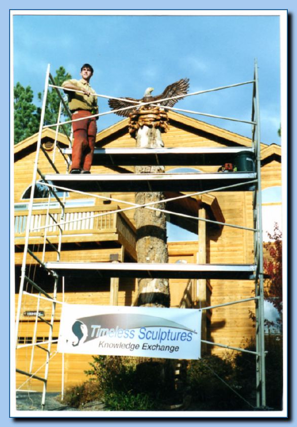 1-38 eagle with wings out, attached